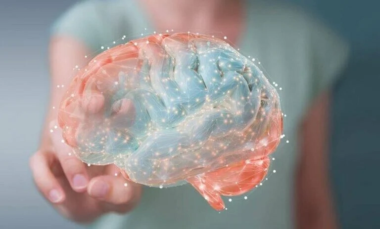 Alcohol Related Brain Shrinkage How Alcohol Misuse Can Impact Brain Function Tikvah Lake Florida Alcohol Related Brain Shrinkage How Alcohol Misuse Can Impact Brain Function Tikvah Lake Florida