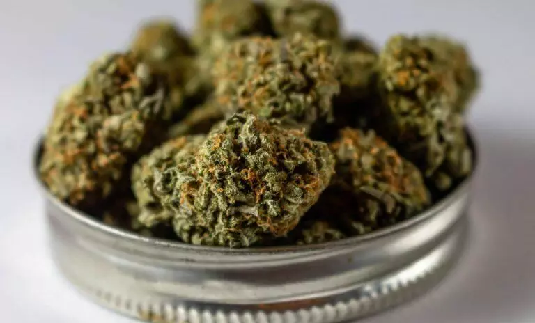 New study reveals marijuana danger to young people