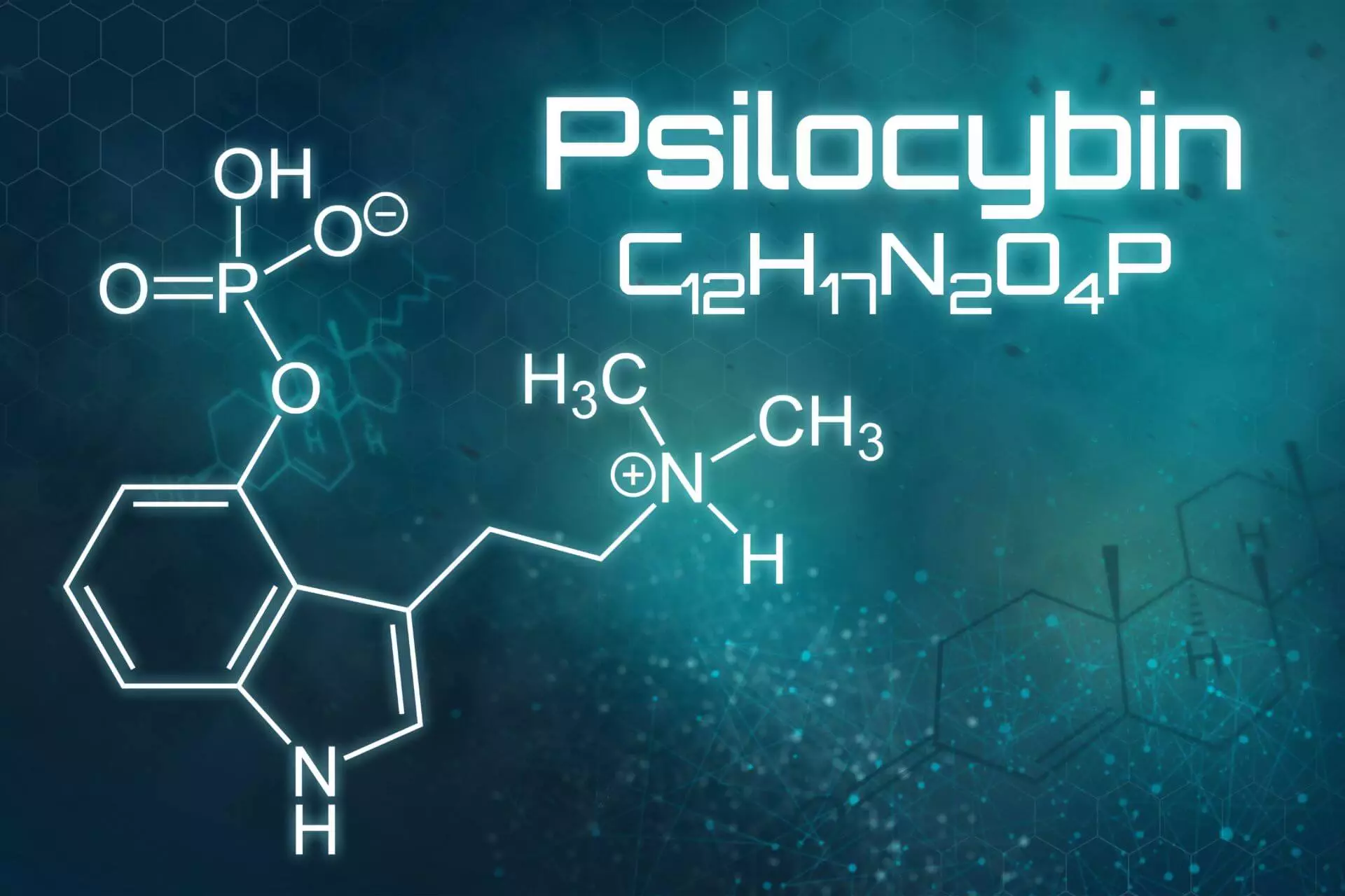 What is psilocybin - Tikvah Lake Recovery
